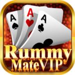 Download Now Rummy Mate